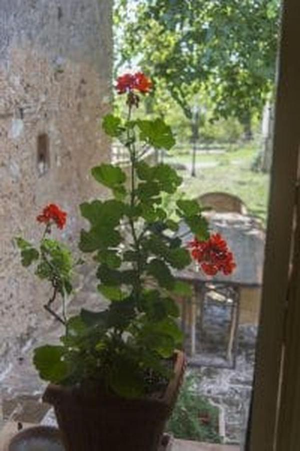 Villa Agriturismo Poggio Ai Legni Sovicille Exterior foto